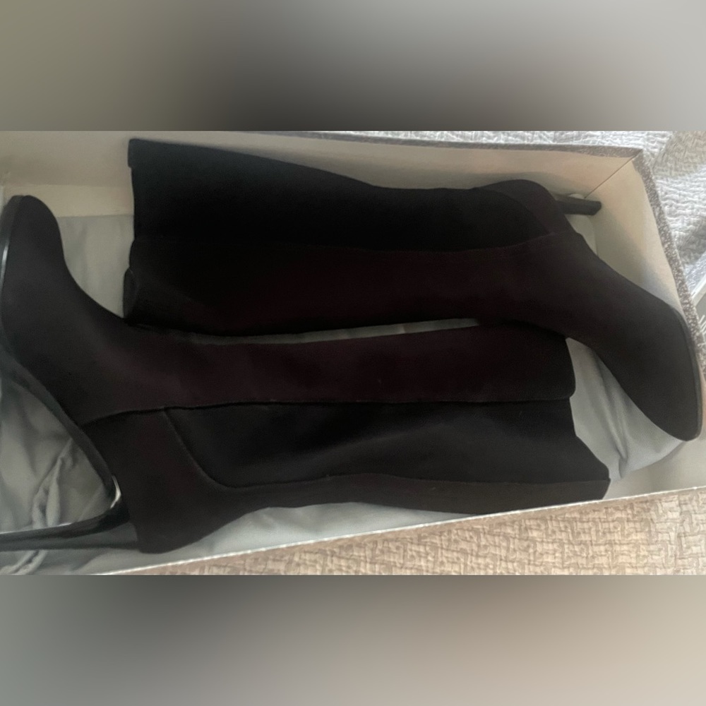 Stuart Weitzman Gore-Tex boots